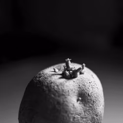 Item #106002847208740868609833758564864100377070191956822007780539652010047008931841 Media