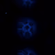 23965628082619162748704684397438954473834990047941042330946547392841064120321