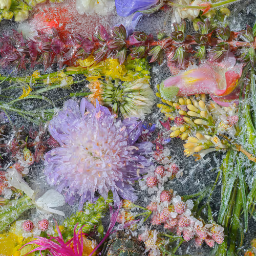 Item #80829721372825377784010953381890255518558028243098186913878117753152943947777 Media