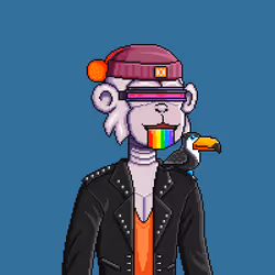 24501027083874393306898292102291113773597434786230668256473112613544490172417