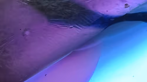 Item #101722242459461766671850244672997948412133570446471513908012687126411056513025 Media