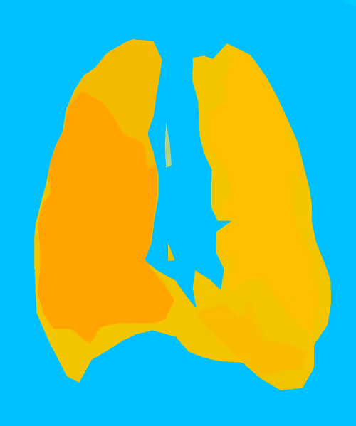 Item #84029125642455646751627882964449646871643598257410714142822988247502860320769 Media