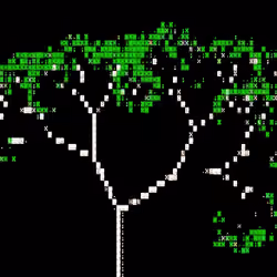 X Tree #7