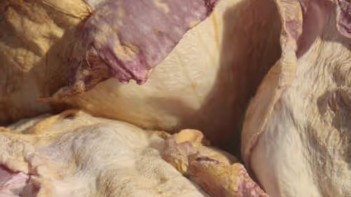 Item #40692806544472458759699307729565979606981443447585886335274303287687087390721 Media