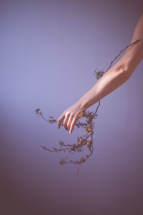 Item #40498021365110625873163859620955492987361950717153146364459205244034257780737 Media