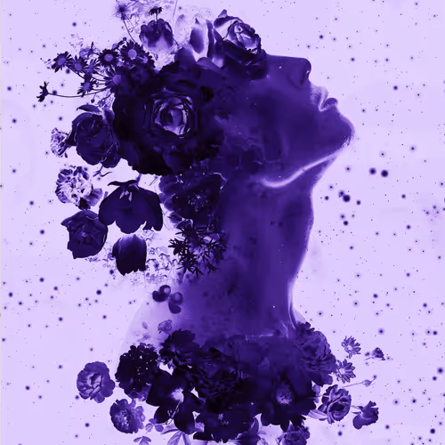 114326855260130091769496603532190643749551084567769454944154782506878542807065