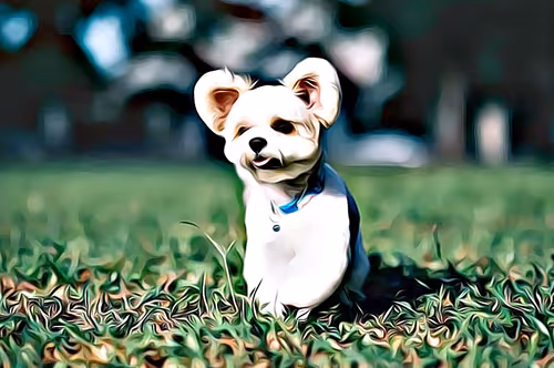 Item #21607923784025543658024067331009769919395041958272689574271021158444784680961 Media