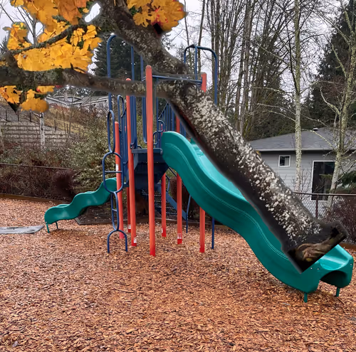 Item #98302218548154138540751170161055066086641108964287725677528013463034410303489 Media