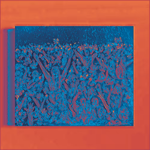 Item #27889719426820528751959612266249019542662415705888417143850562126344479571969 Media