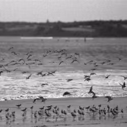 Impermanence #4