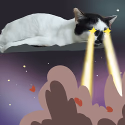 laser shooting cat