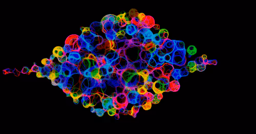 Item #82776758676944145224392687474896913717506445153708102807637183832389926780929 Media