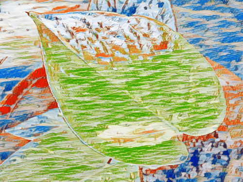 Item #69261177602478584146078213691104273677815526894191982293268527872735535169537 Media