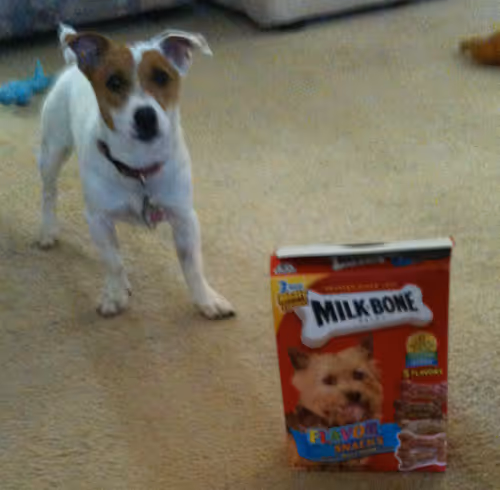 Item #5985210497355107417265215381210579199842884272282595265964883357234376998913 Media