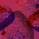 51156885052540435204657879004442532627926490688356477828486453464350295326721