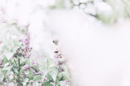 Item #91197645356658558939675614627603270667924620975267700772081319379028305510401 Media