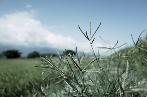 Item #104401202263346064366576801662350281283691787841131726192481732464959461261313 Media