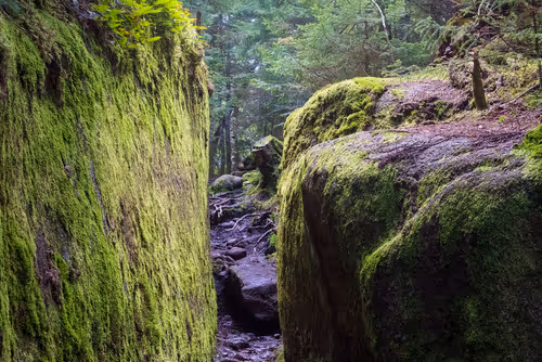 Item #78614967916850878758896281278088562819031429561597845143063368136648153890817 Media