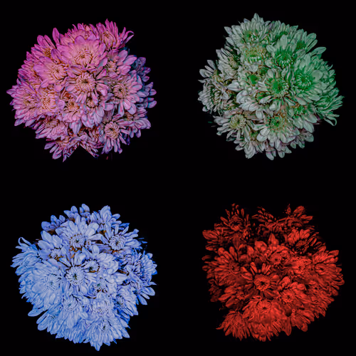 Item #78290859564487950582035157187154512379100989933844946097788898218537922854913 Media