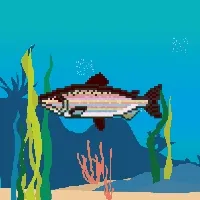 Etherfish #242