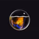 40804310071733365275887890528613580253170009105884358269229708390266941997057