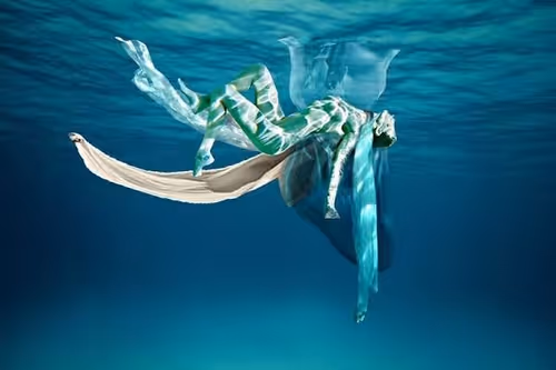 Item #101233169445276138465878170608705583440911688097579023095288538521870100594689 Media