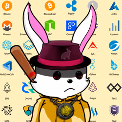 88542289232910988082985471742010113017330397052625520364867096920434348654593