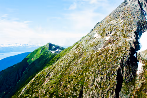 Item #888198070620530782295992843188489433267157345827485471243103232553065119745 Media