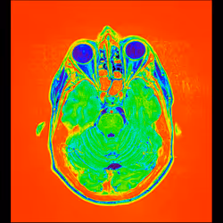 64162533542198579898252916190583583845604629893829087458582976148213761835009