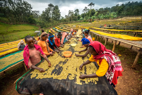 Item #50027882237522295676960542276708360859068113986169674979910834197775794569217 Media