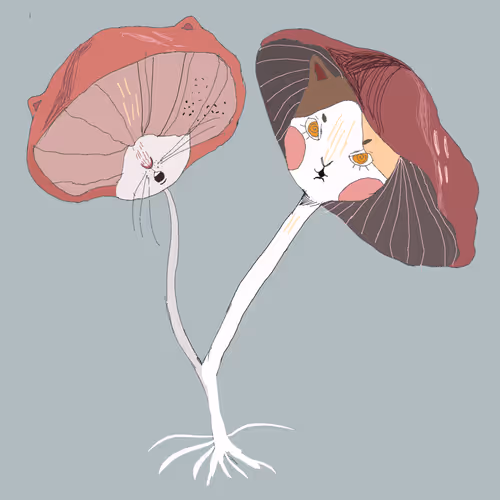 Item #26513539195589465436258894481919564202938812047478529984676346108589383876609 Media