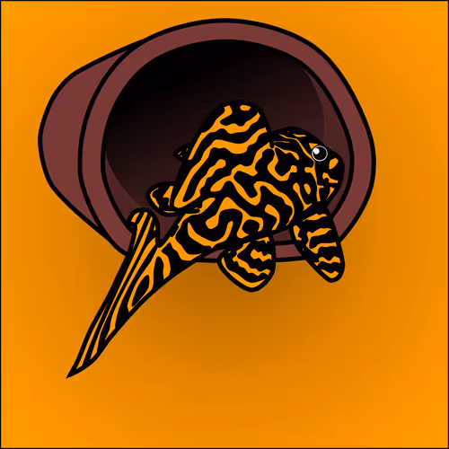 81664083123670143983968740139941474364733981378414170565535213246467297771521