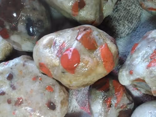 Item #2953591008869991525479195481978449020908380136781448361596082520563122176001 Media