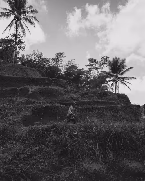 Item #95633765474931350240165697288740384276668175365753332134829565116824374214657 Media