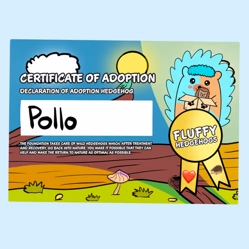 Fluffy Adoptions