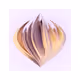 110301982495542579391622445238683062529571479395503037800619951335838840782849