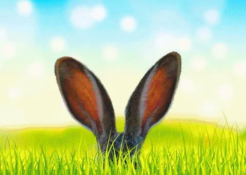 Animal Art V4