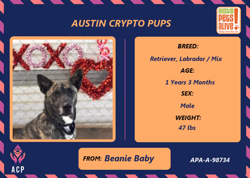 Item #17951378556605612276483806045649535824451571419947225201384628596413896327169 Media