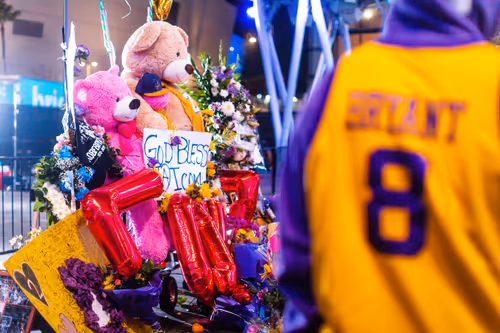 Item #13439362437370999140501138582598292618476795451252891238898507515160025890817 Media