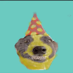 Silver and Gold Dog
