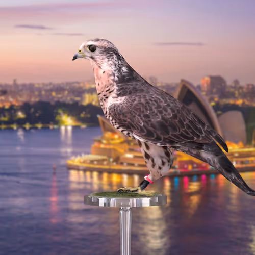 5362693153686757663037229957776630052012240176014263673100968386084084908033