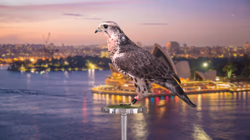 Item #5362693153686757663037229957776630052012240176014263673100968386084084908033 Media