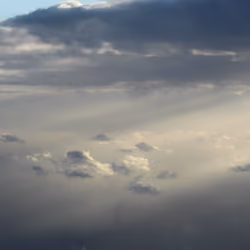 Flying 058/100