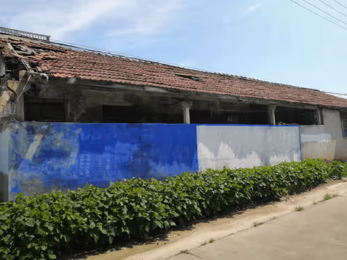 Untitled Collection #72737166