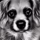 i want to playfully take first place NFT by my dog