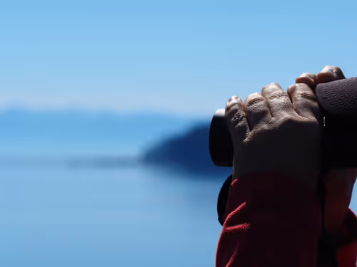 Item #70867767148206433816285647026950890777096964968120148821785755208017980162049 Media