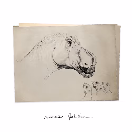 Item #22582927822880265950669941219355019494534003366966592492782895243470942765057 Media