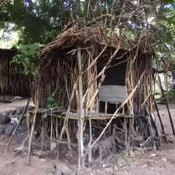 Primitive hut #2