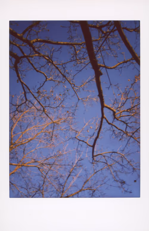 Item #106002358755633072780688393344306535131574018413591107715624238124016640983041 Media