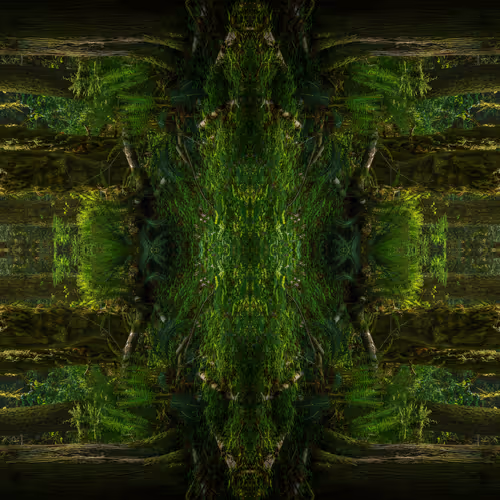 Item #101450745045506535769321295753064131936932370617857434981573112742394915192843 Media